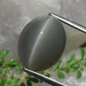 8.58カラットの天然グリーンQuartz Cat's Eye（12.9×10.6 mm・オーバルカット）