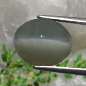 8.58カラットの天然グリーンQuartz Cat's Eye（12.9×10.6 mm・オーバルカット）