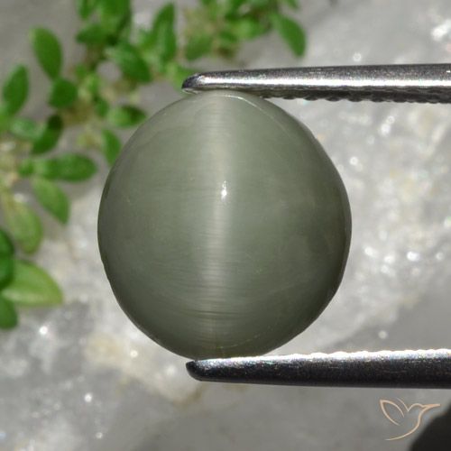 4.44ct 天然 グレーグリーン クォーツキャッツアイ, 楕円形, オペーク