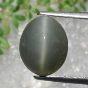 3.22カラットの天然緑がかった灰色Quartz Cat's Eye（10.3×8.4 mm・オーバルカット）