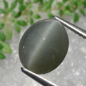 3.22カラットの天然緑がかった灰色Quartz Cat's Eye（10.3×8.4 mm・オーバルカット）