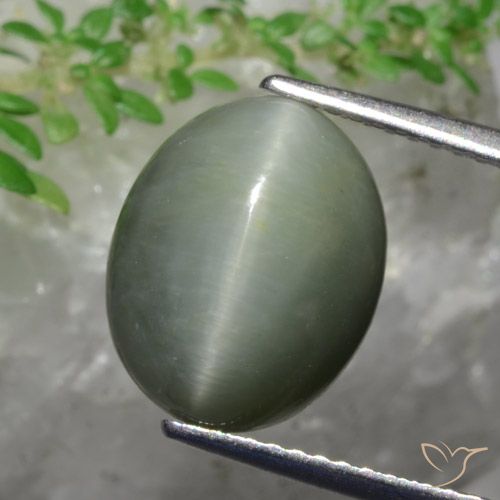 5.82ct 天然 ミディアムグリーン クォーツキャッツアイ, 楕円形, オペーク