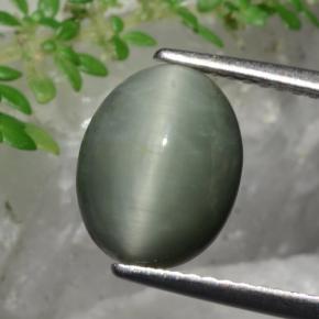 3.36カラットの天然グリーンクォーツキャッツアイ、オーバルカット、オペーク