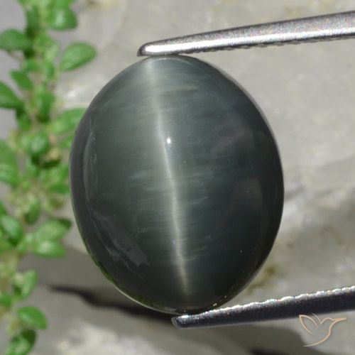 8.57 ct オーバル クォーツ キャッツアイ、13 x 10.8 mm スリランカ産, Photo A