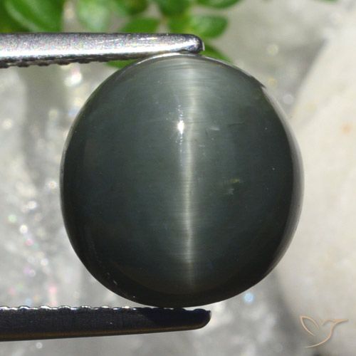 6.82ct 天然 濃い灰色 クォーツ キャッツアイ, 楕円形, オペーク