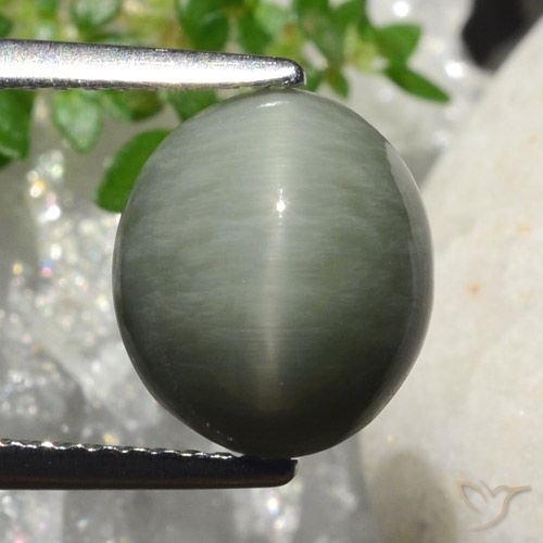 4.18ct 天然 ミディアムグレー クォーツキャッツアイ, 楕円形, オペーク