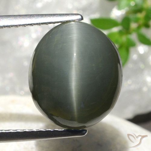 7.44ct 天然 ミディアムグレー クォーツ キャッツアイ, 楕円形, オペーク