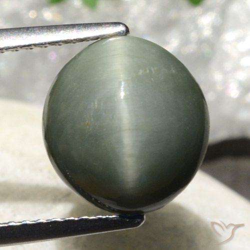 4.86ct 天然 緑がかった灰色 クォーツキャッツアイ, 楕円形, オペーク