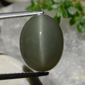 9.03カラットの天然ウォームグリーンQuartz Cat's Eye（13.5×10.3 mm・オーバルカット）
