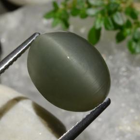 9.03カラットの天然ウォームグリーンQuartz Cat's Eye（13.5×10.3 mm・オーバルカット）