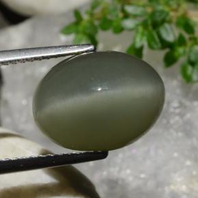 9.03カラットの天然ウォームグリーンQuartz Cat's Eye（13.5×10.3 mm・オーバルカット）