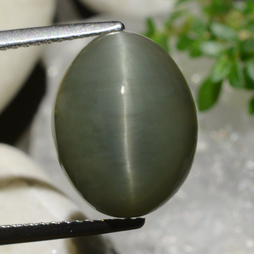 8.34カラットの天然ウォームグリーンクォーツキャッツアイ、オーバルカット、オペーク