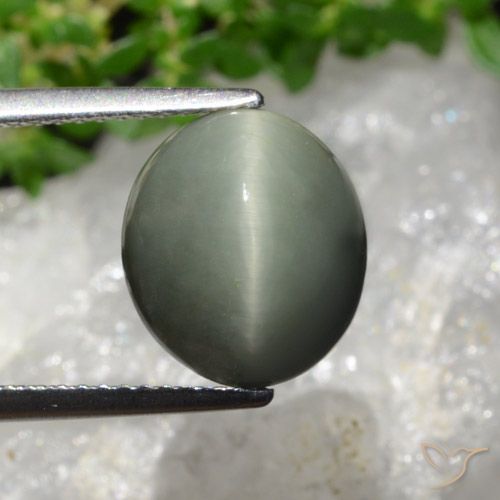 6.02ct 天然 緑がかった灰色 クォーツキャッツアイ, 楕円形, オペーク