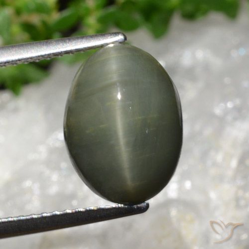 5.98ct 天然 ミディアムグリーン クォーツキャッツアイ, 楕円形, オペーク