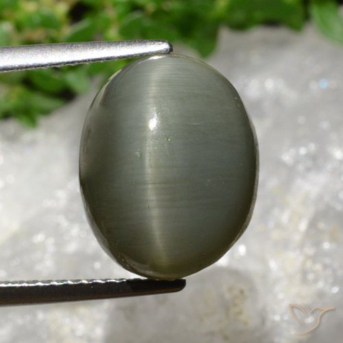 8.13ct 天然 グレーグリーン クォーツキャッツアイ, 楕円形, オペーク