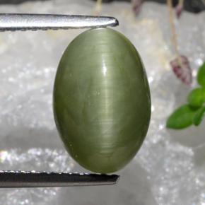 3.88カラットの天然ミディアムグリーンクォーツキャッツアイ、オーバルカット、オペーク