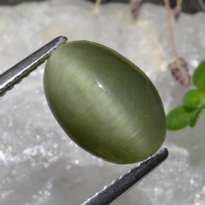 3.88カラットの天然ミディアムグリーンクォーツキャッツアイ、オーバルカット、オペーク