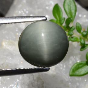 2.83カラットの天然ミディアムグレークォーツキャッツアイ、オーバルカット、オペーク