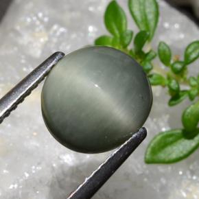 2.83カラットの天然ミディアムグレークォーツキャッツアイ、オーバルカット、オペーク