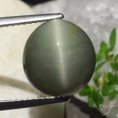 6.23ct 天然 ウォームグリーン クォーツキャッツアイ, 楕円形, オペーク