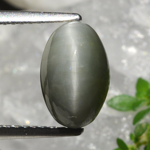 2.99カラットの天然ミディアムグレークォーツキャッツアイ、オーバルカット、オペーク