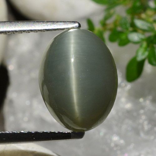 4.96カラットの天然緑がかった灰色クォーツキャッツアイ、オーバルカット、オペーク