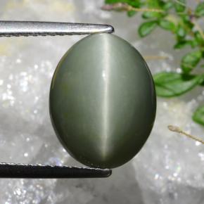 6.74カラットの天然灰色がかった緑Quartz Cat's Eye（13.1×10.3 mm・オーバルカット）