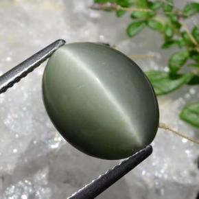 6.74カラットの天然灰色がかった緑Quartz Cat's Eye（13.1×10.3 mm・オーバルカット）