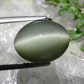 6.74カラットの天然灰色がかった緑Quartz Cat's Eye（13.1×10.3 mm・オーバルカット）