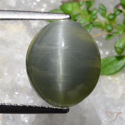 5.35ct 天然 緑がかった灰色 クォーツキャッツアイ, 楕円形, オペーク