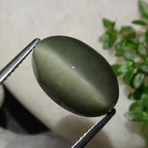 6.44カラットの天然アーシーグリーンクォーツキャッツアイ、オーバルカット、オペーク