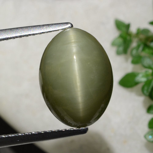 6.21カラットの天然ウォームグリーンクォーツキャッツアイ、オーバルカット、オペーク
