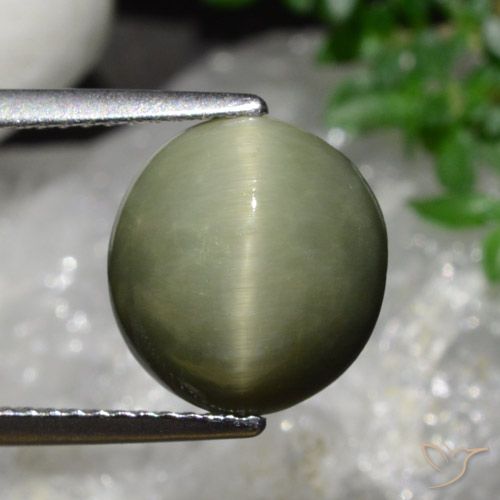 5.58ct 天然 アーミーグリーン クォーツキャッツアイ, 楕円形, オペーク