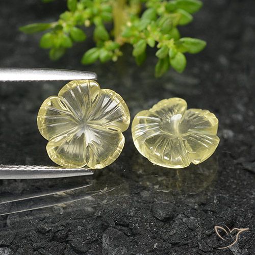 Shop natural 6.13ct 薄いクリームイエロー 石英 gems, フラワーカット, from ブラジル at GemSelect. In stock, global shipping!