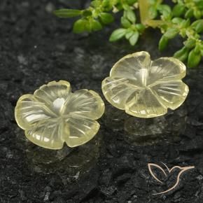 Shop natural 5.58ct ミディアムイエロー 石英 gems, フラワーカット, from ブラジル at GemSelect. In stock, global shipping!