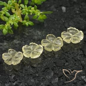 Shop natural 4.51ct ミディアムイエロー 石英 gems, フラワーカット, from ブラジル at GemSelect. In stock, global shipping!