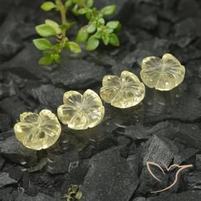 Shop natural 10.51ct 薄いクリームイエロー 石英 gems, フラワーカット, from ブラジル at GemSelect. In stock, global shipping!