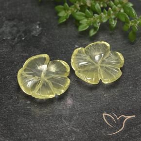 Shop natural 7.52ct ミディアム薄いイエロー 石英 gems, フラワーカット, from ブラジル at GemSelect. In stock, global shipping!
