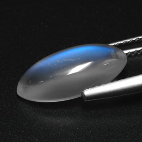 3.91カラットの天然ブルー＆ホワイトレインボームーンストーン（15.3×7.1 mm・透明）