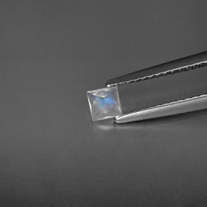 0.19カラットの天然ブルー＆ホワイトレインボームーンストーン（3.5×3.4 mm・四角）