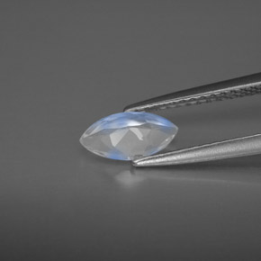 0.46カラットの天然ホワイトレインボームーンストーン（8.1×4.1 mm・透明）