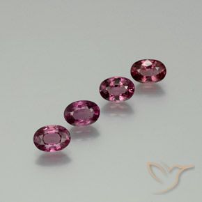 Shop natural 3.84ct ミディアムダークパープル ロードライトガーネット gems, 楕円形, from タンザニア at GemSelect. In stock, global shipping!