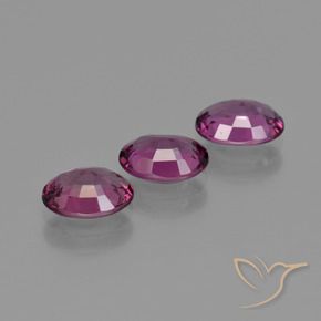 Shop natural 2.82ct ラズベリーレッドパープル ロードライトガーネット gems, 楕円形, from モザンビーグ at GemSelect. In stock, global shipping!