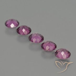 Shop natural 2.69ct ミディアムダークパープル ロードライトガーネット gems, ラウンド, from モザンビーグ at GemSelect. In stock, global shipping!