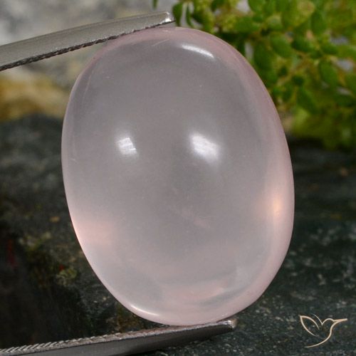 24.31ct 天然 ライトローズピンク ローズクォーツ, 楕円形, 半透明