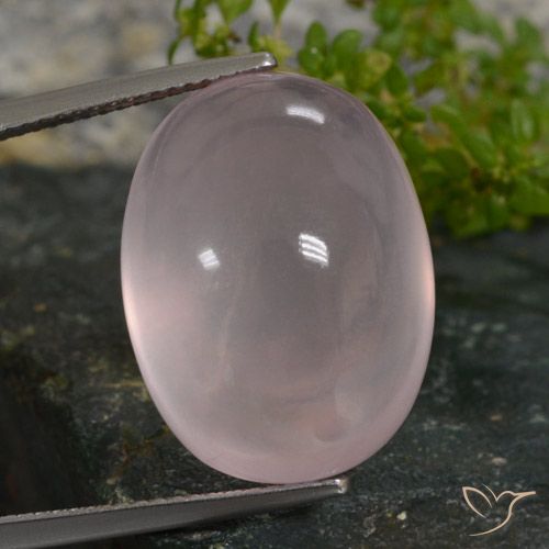 27.49ct 天然 ライトローズピンク ローズクォーツ, 楕円形, 半透明