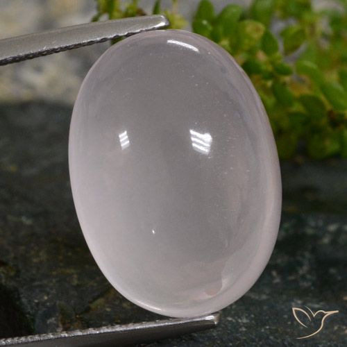 16.02ct 天然 非常に薄いピンク ローズクォーツ, 楕円形, 半透明