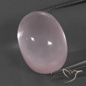 19.58ct 天然 コーラルピンク ローズクォーツ, 楕円形, 透明