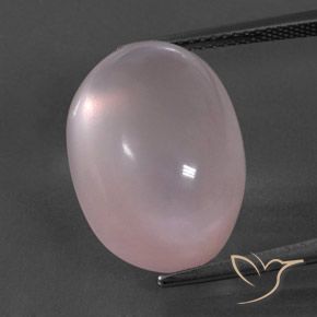 19.49ct 天然 ライトピンク ローズクォーツ, 楕円形, 透明