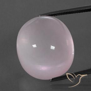 47.24ct 天然 ライトピンク ローズクォーツ, 楕円形, 透明